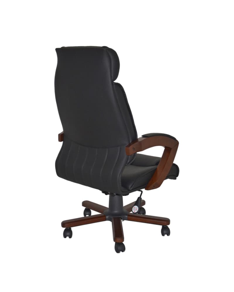 BUTTON YÖNETİCİ KOLTUĞU (3)4