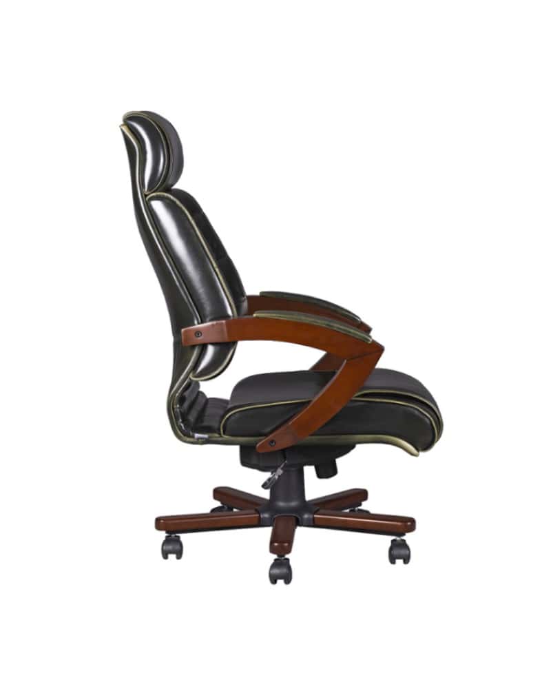 BUTTON YÖNETİCİ KOLTUĞU (3)