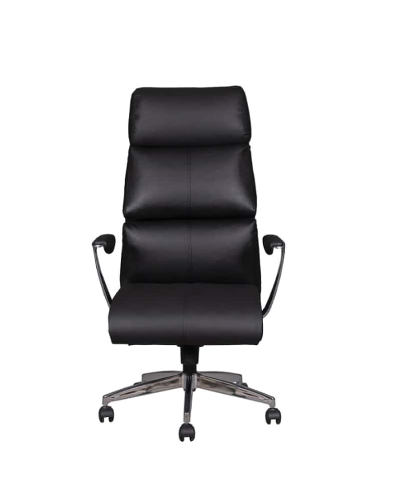 DMN 01 (1)