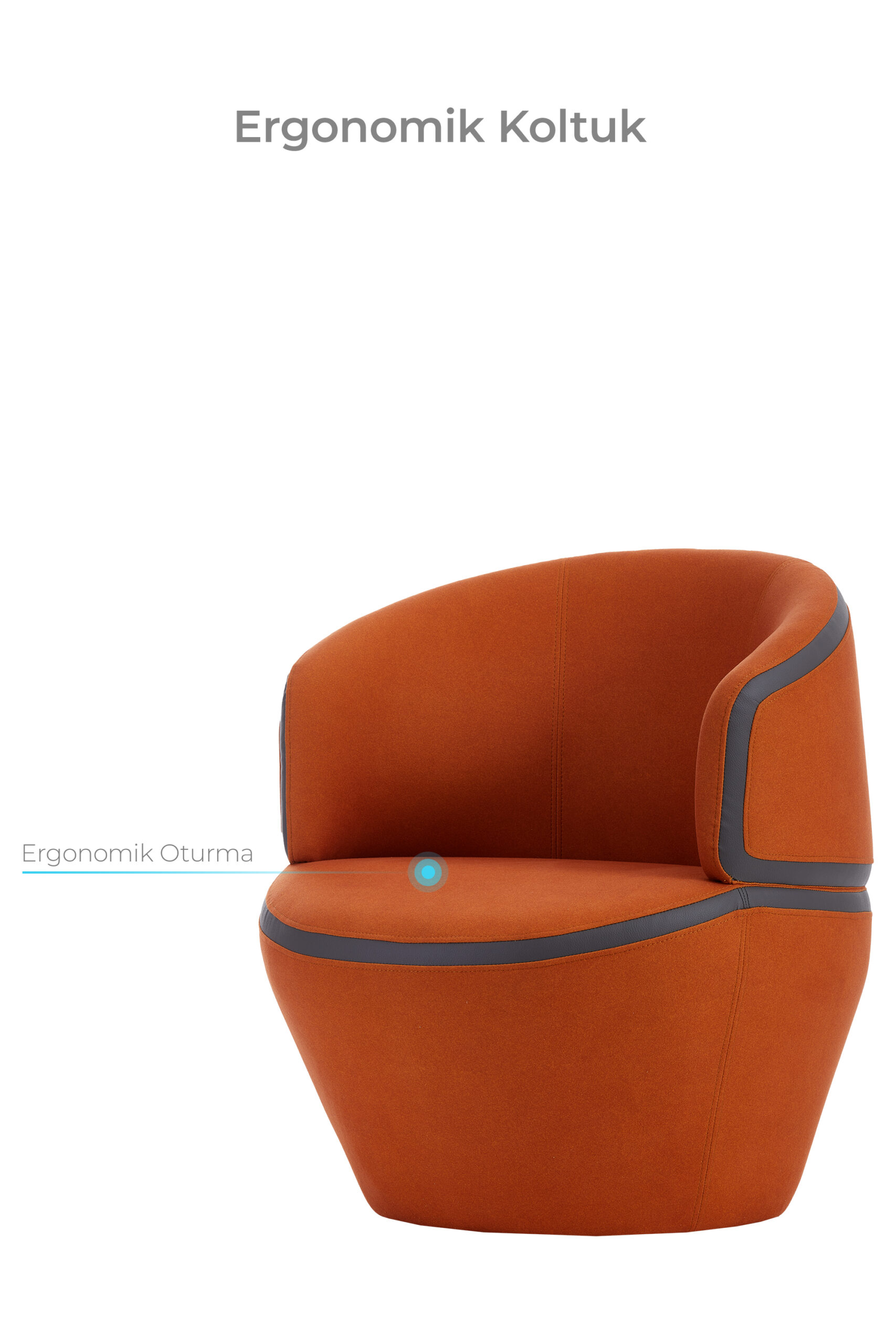 decofis_furia_berjer_v1-1-scaled