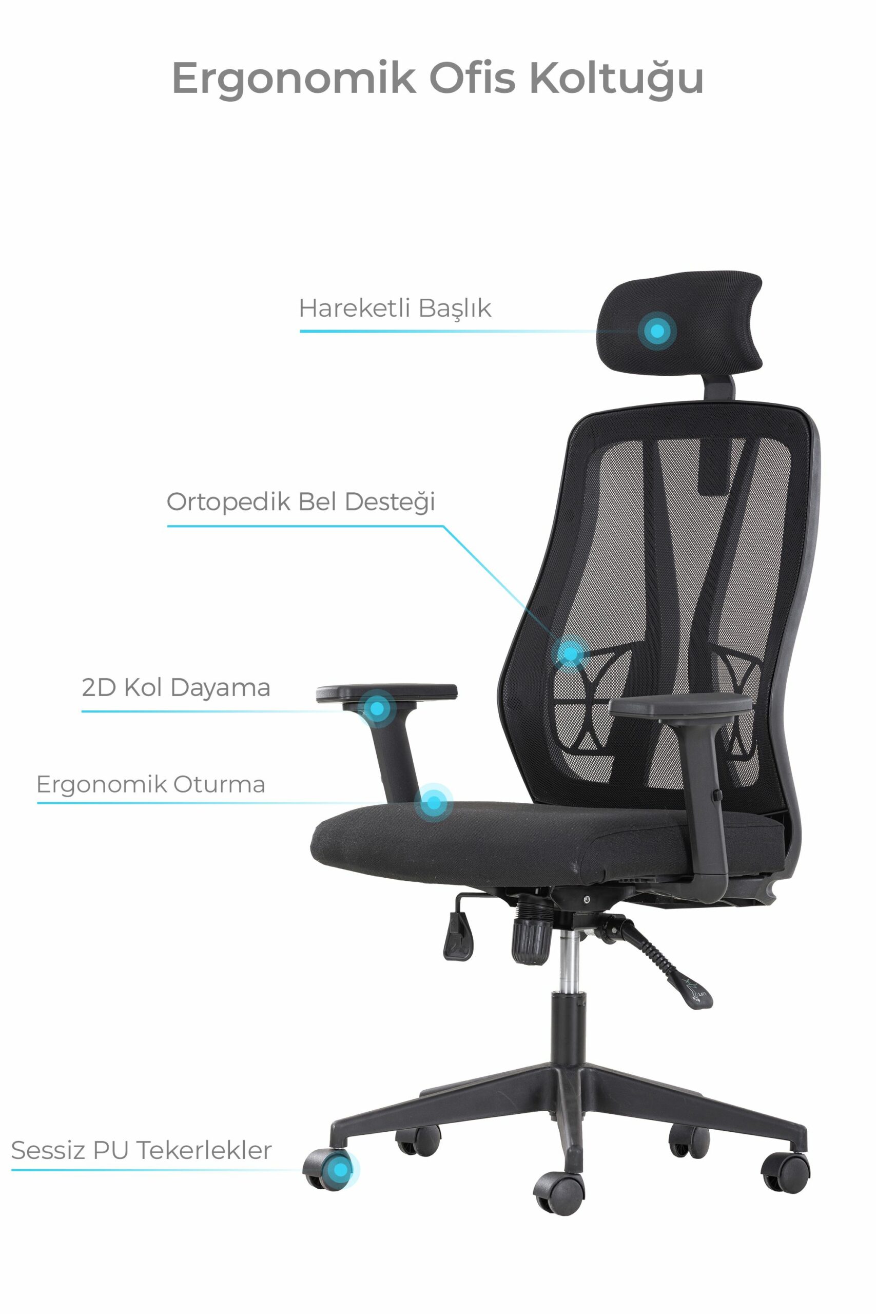 5_decofis-ortopedik-fileli-calisma-koltugu-tavsiye-ofis-koltugu-1-scaled