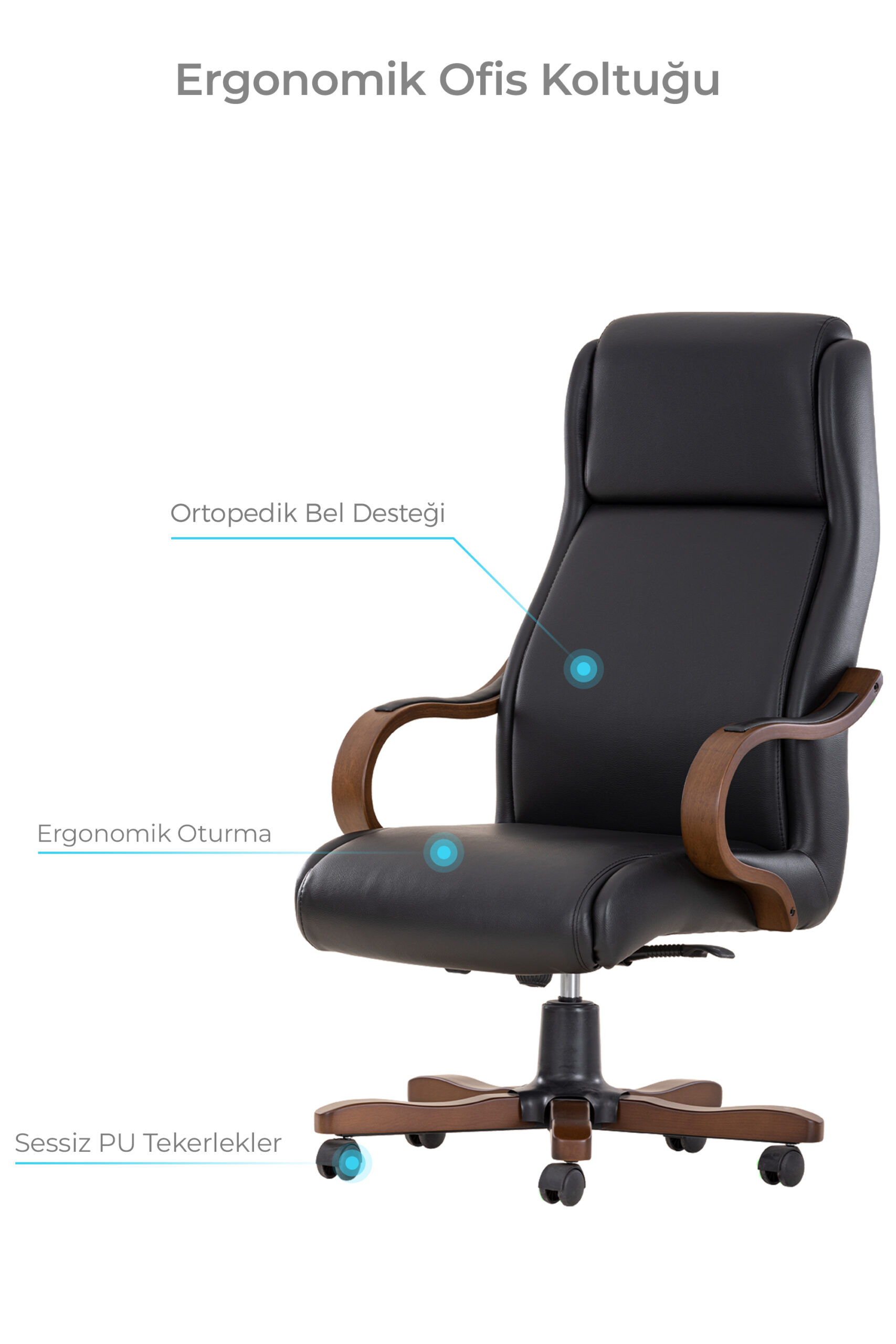2-decofis-ortopedik-calisma-koltugu-tavsiye-ofis-koltugu-1-scaled