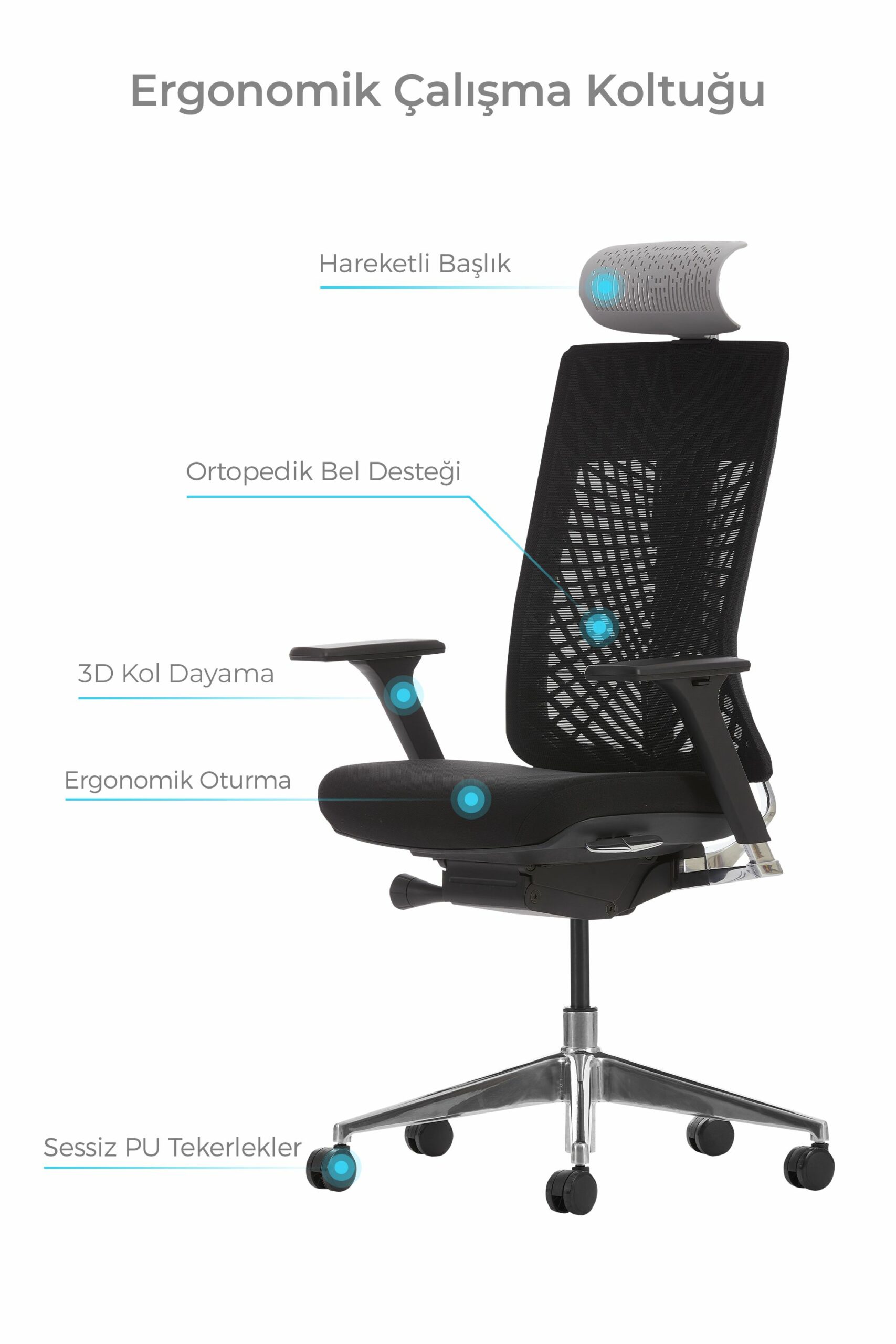 6_decofis-ortopedik-fileli-calisma-koltugu-tavsiye-ofis-koltugu-1-scaled
